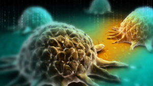 Self-assembled carbohydrate molecules trap cancer cells