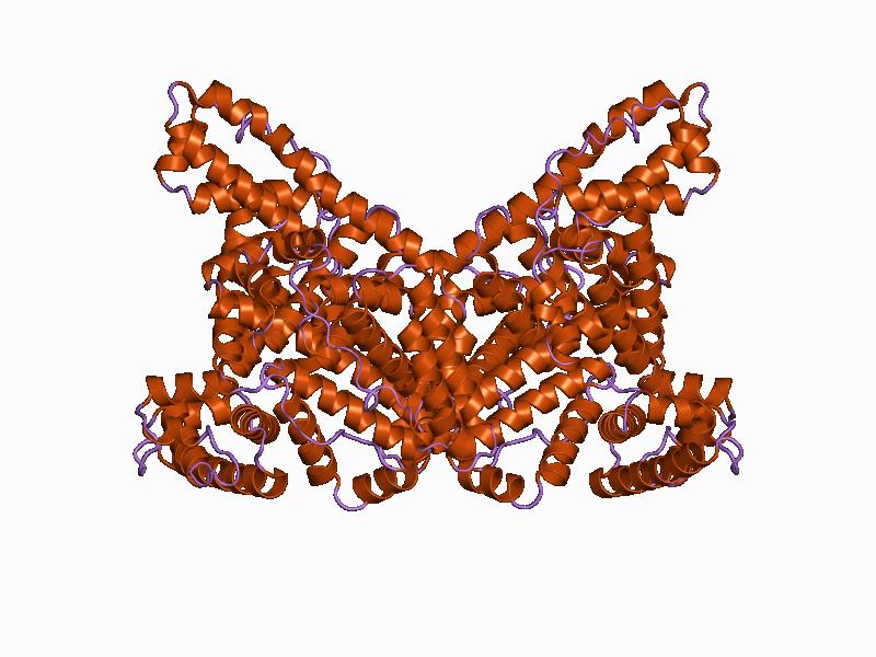 The relationship between albumin and protein - human albumin structure