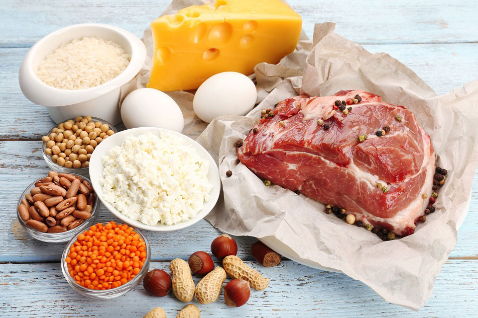Medical science - Should kidney disease patients eat animal protein or plant protein?